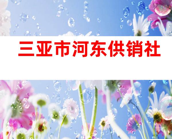 三亚市河东供销社