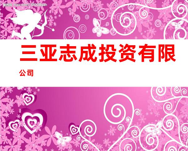 三亚志成投资有限公司