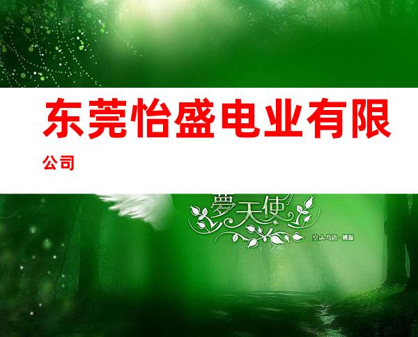 东莞怡盛电业有限公司