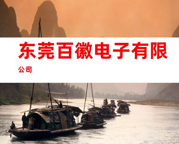 东莞百徽电子有限公司