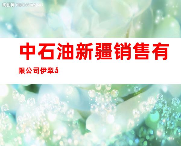 中石油新疆销售有限公司伊犁分公司尼勒克红旗加油站