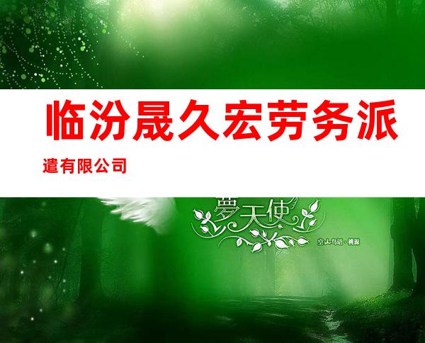 临汾晟久宏劳务派遣有限公司