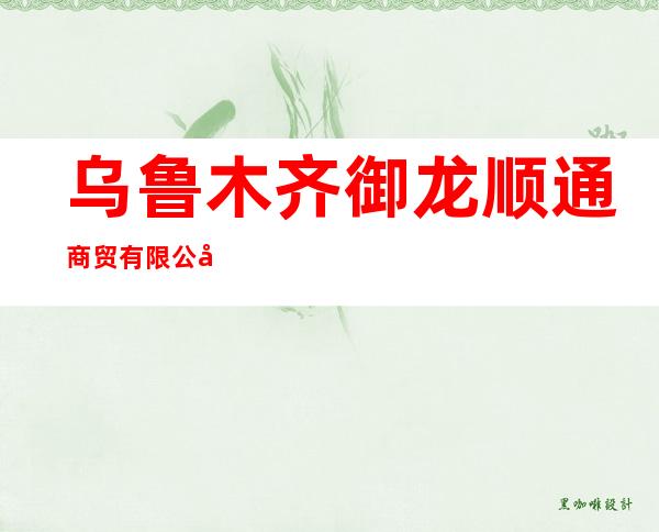 乌鲁木齐御龙顺通商贸有限公司