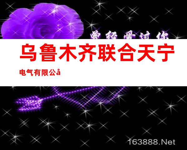 乌鲁木齐联合天宁电气有限公司