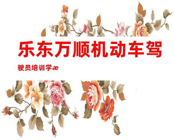 乐东万顺机动车驾驶员培训学校有限公司