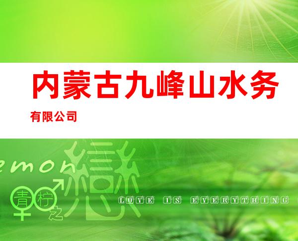 内蒙古九峰山水务有限公司
