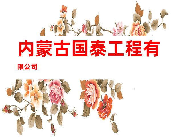 内蒙古国泰工程有限公司