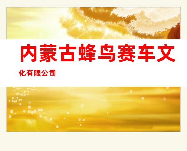 内蒙古蜂鸟赛车文化有限公司