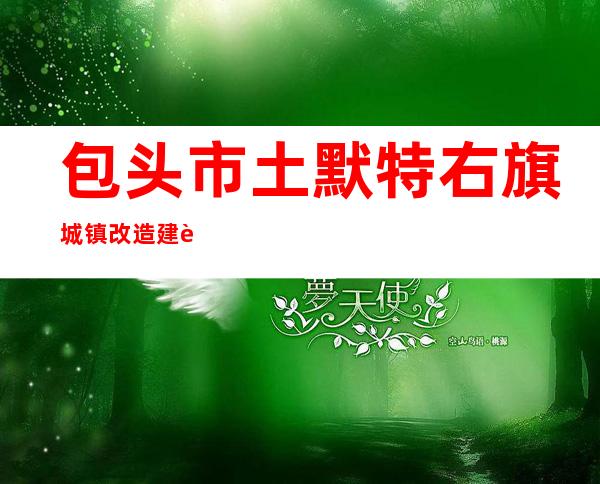 包头市土默特右旗城镇改造建设有限公司