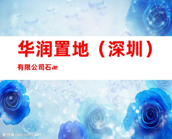 华润置地(深圳)有限公司石梅湾艾美度假酒店
