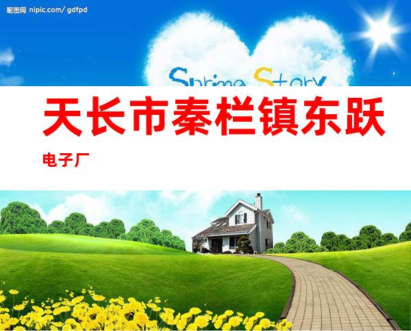 天长市秦栏镇东跃电子厂
