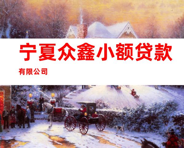 宁夏众鑫小额贷款有限公司