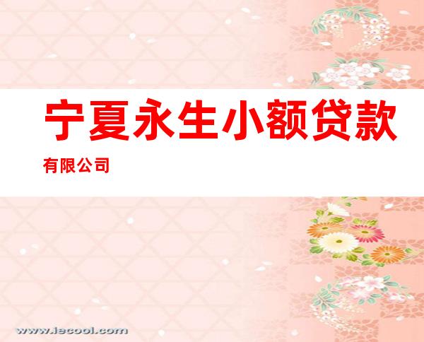 宁夏永生小额贷款有限公司
