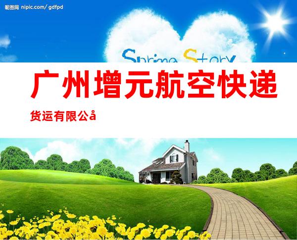 广州增元航空快递货运有限公司