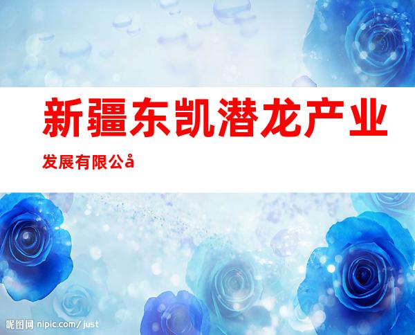 新疆东凯潜龙产业发展有限公司