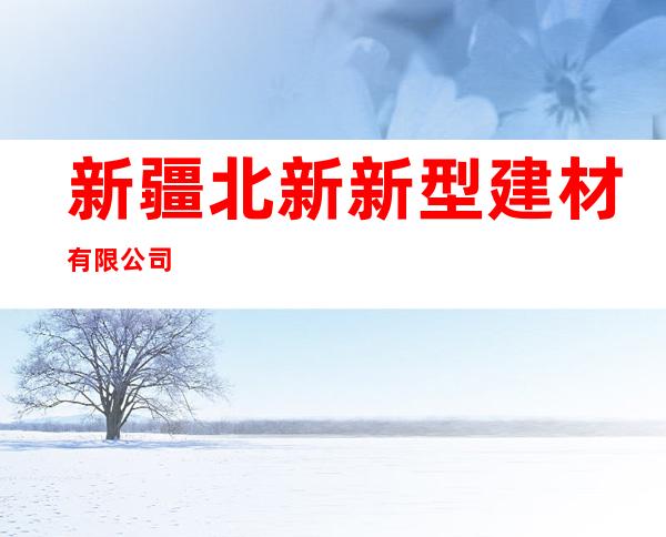 新疆北新新型建材有限公司