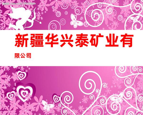 新疆华兴泰矿业有限公司