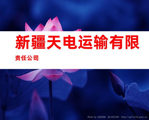 新疆天电运输有限责任公司