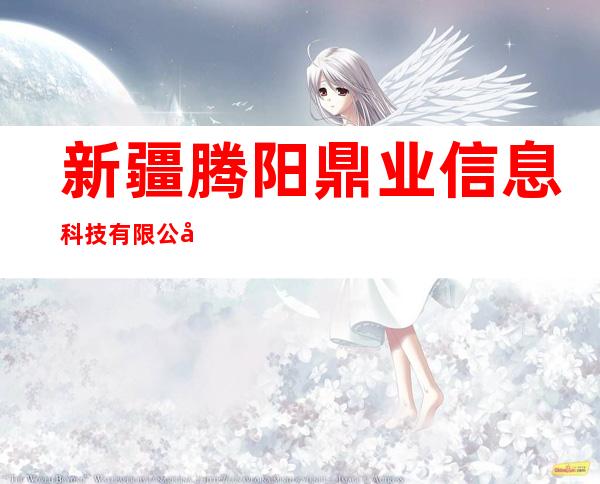 新疆腾阳鼎业信息科技有限公司