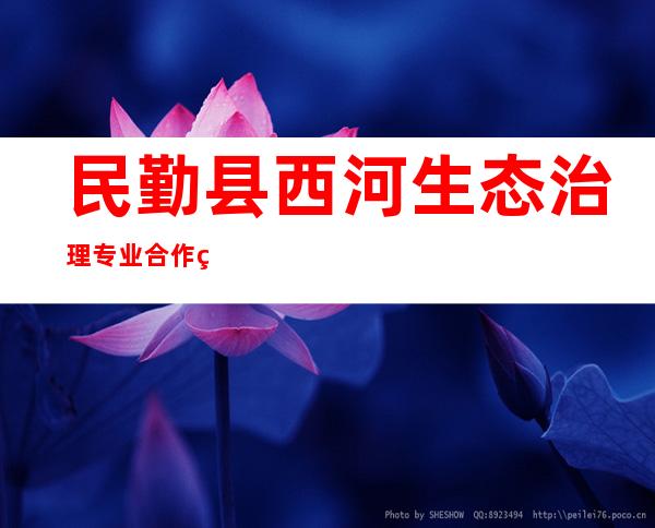 民勤县西河生态治理专业合作社
