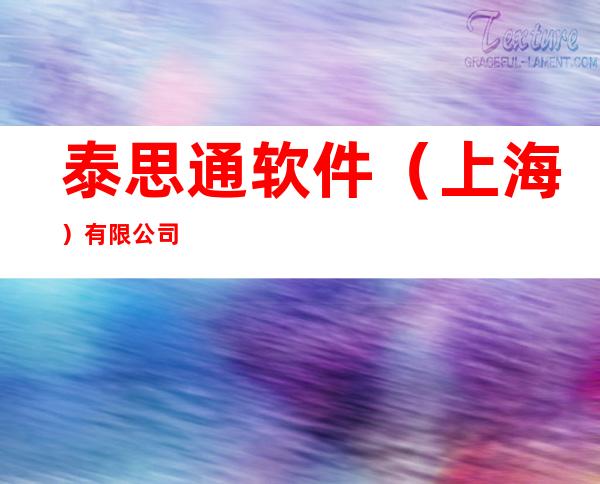 泰思通软件(上海)有限公司