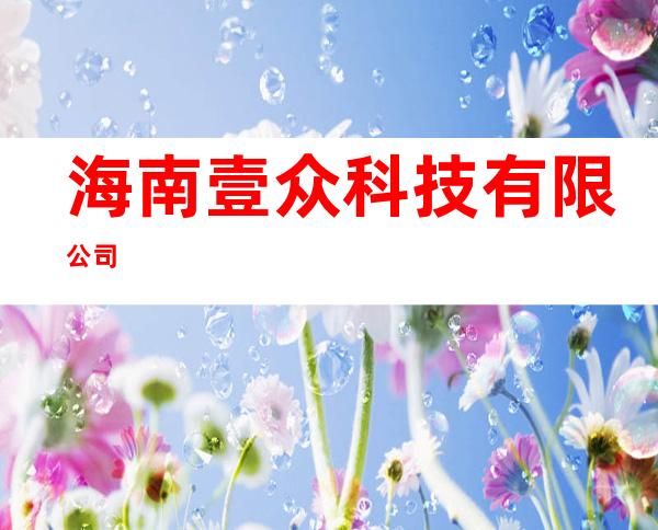 海南壹众科技有限公司