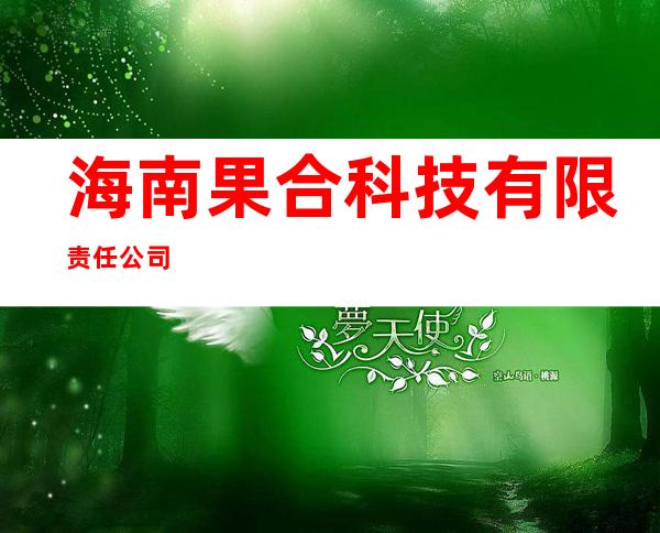 海南果合科技有限责任公司
