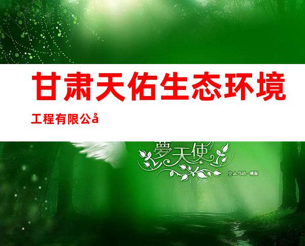 甘肃天佑生态环境工程有限公司