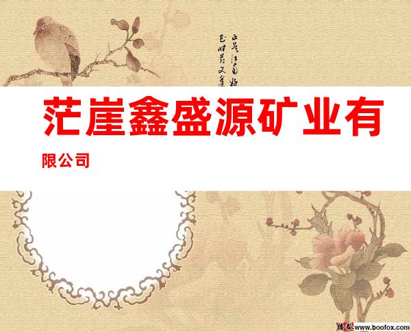 茫崖鑫盛源矿业有限公司