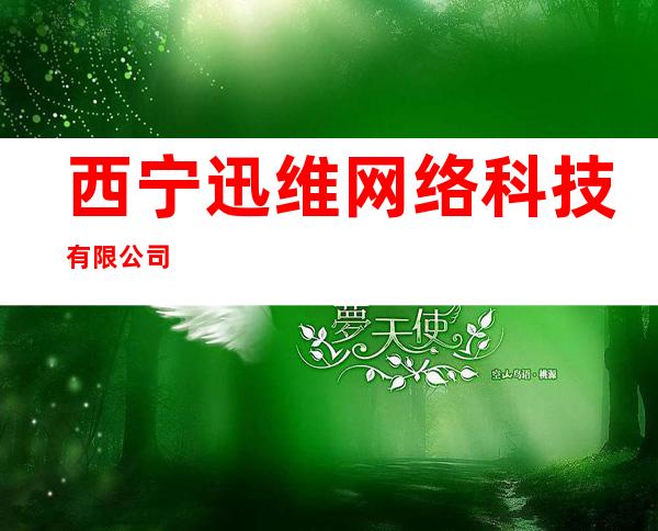 西宁迅维网络科技有限公司