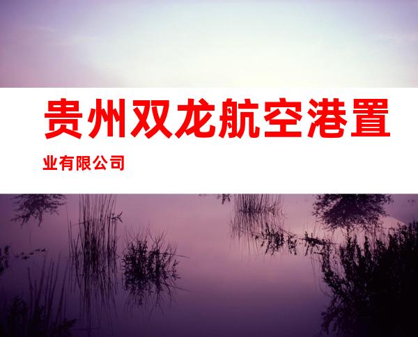 贵州双龙航空港置业有限公司