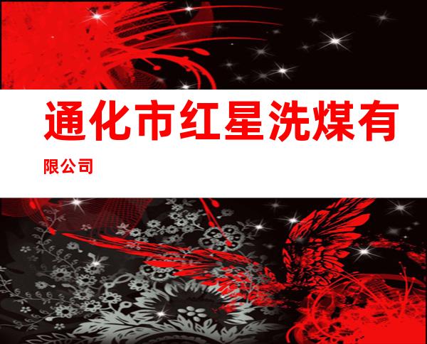 通化市红星洗煤有限公司