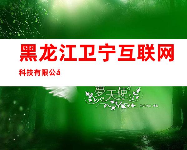 黑龙江卫宁互联网科技有限公司